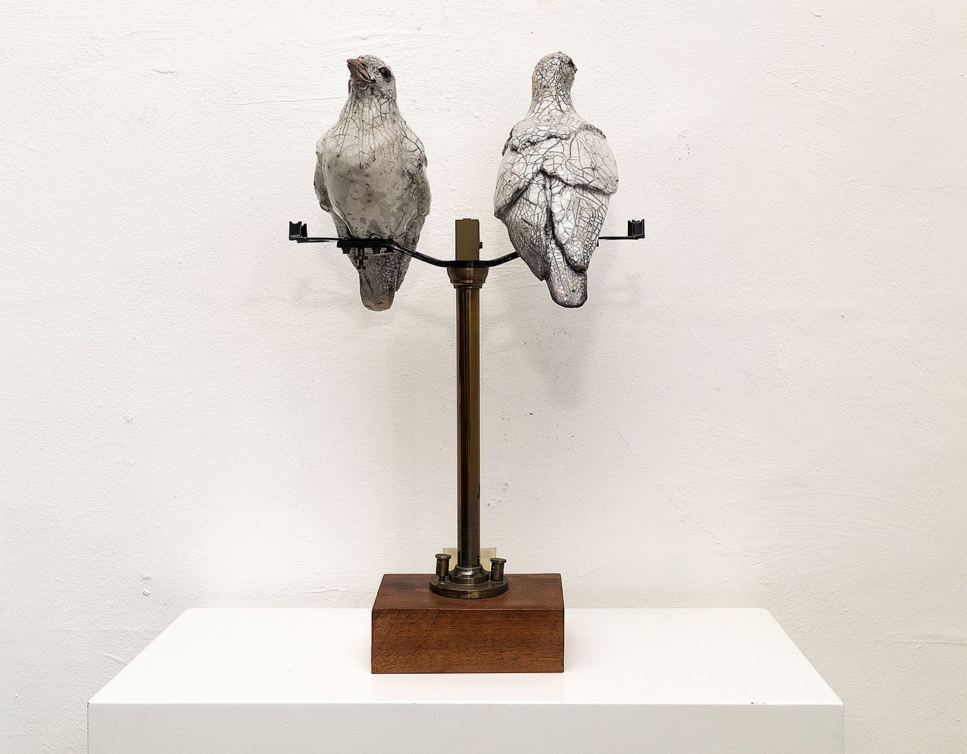 Doves on Balance 1 by Carol Read Richard Ballantyne